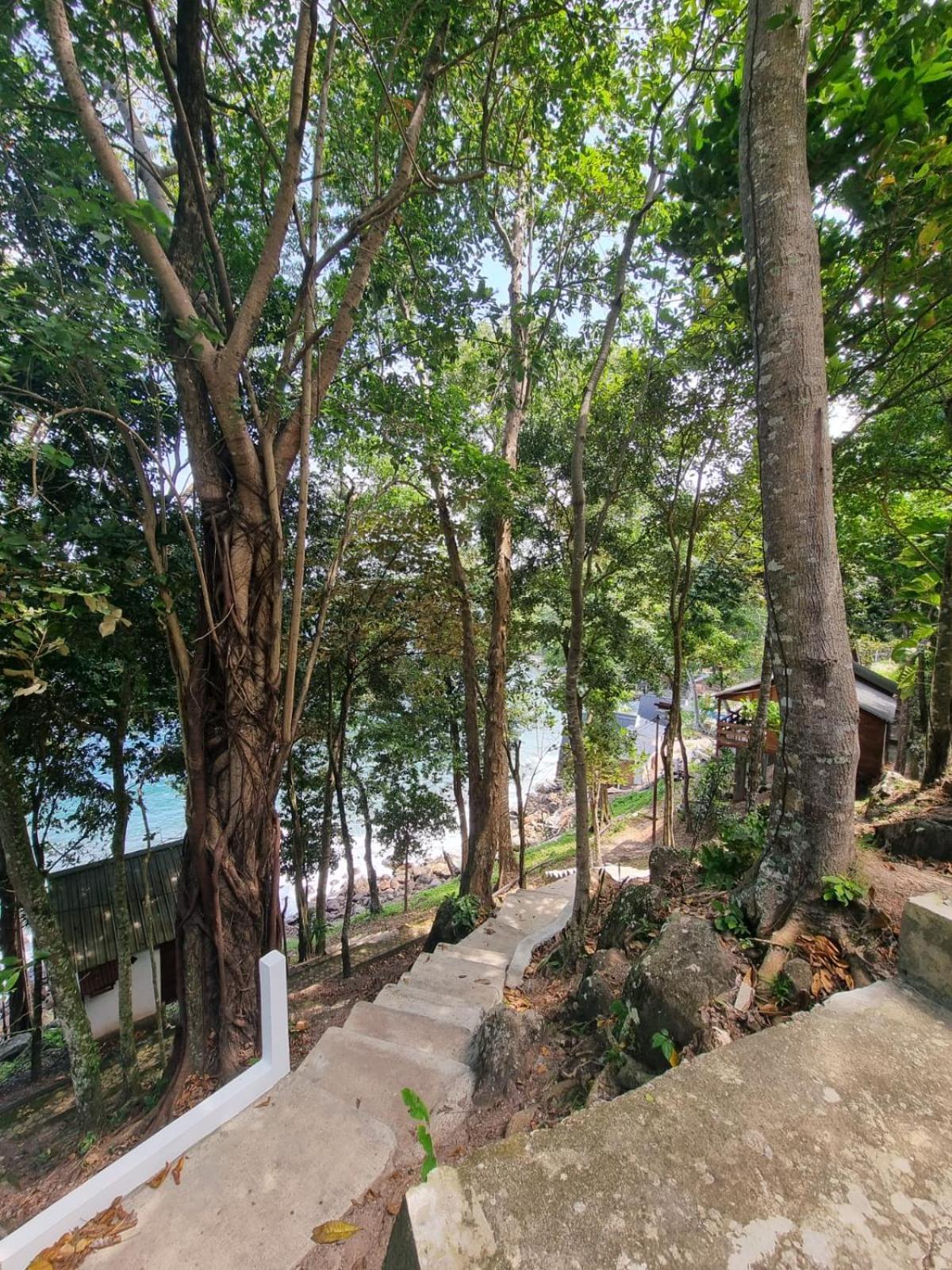 Treetop Guesthouse And Bungalows Sabang  Exterior photo